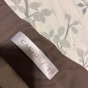 Cacique Chocolate Brown Bra
